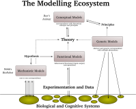 types_of_models types_of_models