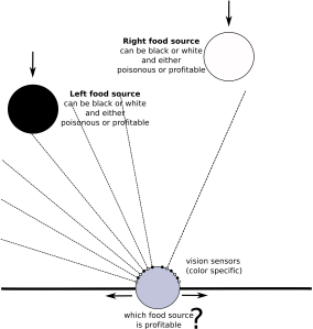 Reinforcement Learning task for simulated agent