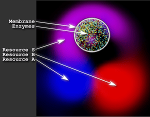 Model of protocellular chemoetchology