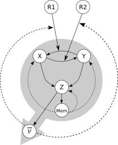 Organizational structure of a chemtactic protocell